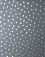 Sisters of the Sun - Gold on Charcoal - Residential Wallpaper