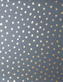 Sisters of the Sun - Gold on Charcoal - Commercial Wallpaper