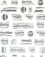 Goldendale - Gunmetal on White - Residential Wallpaper